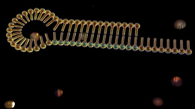 Small interfering RNA or siRNA or short interfering RNA or silencing RNA. shRNAs consist of sense and antisense sequences separated by a loop sequence look like hairpin 3D rendering