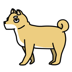 cute shiba inu dog transparent background vector illustration
