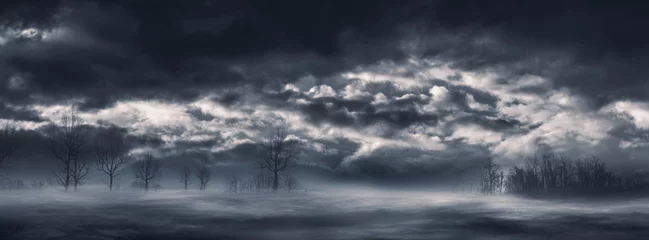Foto op Canvas Night sky background with dark clouds and trees © stokkete