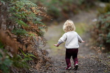 toddler hiking in the forest on a path. kids walking in the forest