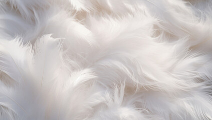 Obraz premium Macro closeup feather textured pattern fluffy soft bird white abstract background decorative design light