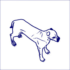 sketches of dogs in various positions with transparent background