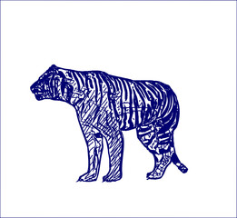 sketch of a tiger with a transparent background