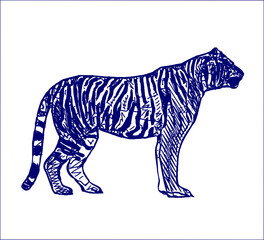 sketch of a tiger with a transparent background