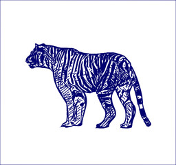sketch of a tiger with a transparent background
