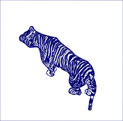 sketch of a tiger with a transparent background