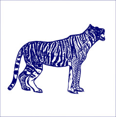 sketch of a tiger with a transparent background