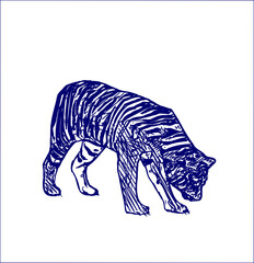 sketch of a tiger with a transparent background