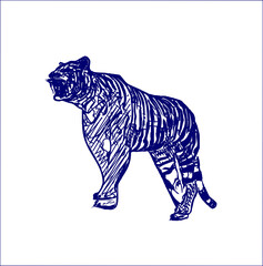 sketch of a tiger with a transparent background
