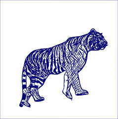 sketch of a tiger with a transparent background