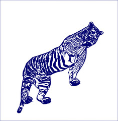 sketch of a tiger with a transparent background