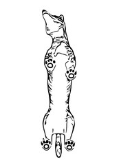 sketches of dogs in various positions with transparent background