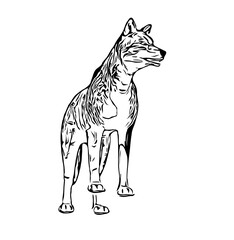 sketches of dogs in various positions with transparent background