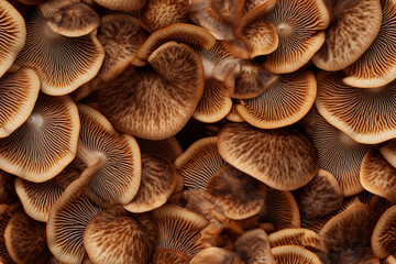 mushrooms close architectural interior background wall texture pattern seamless