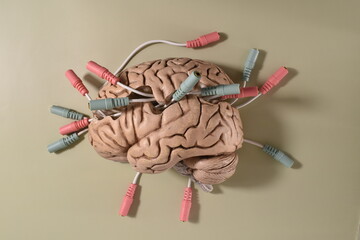 Human brain. Mixed minds. Mental illness. Mental health day