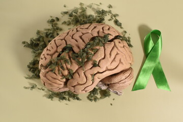 Human brain. Mixed minds. Mental illness. Mental health day