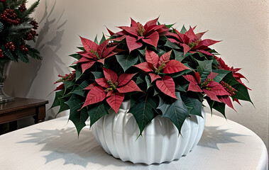 Christmas, poinsettia, flowers, tableware, anniversary, frame, background