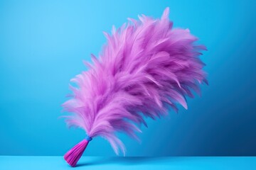 purple feather panicle from dust on a blue background.