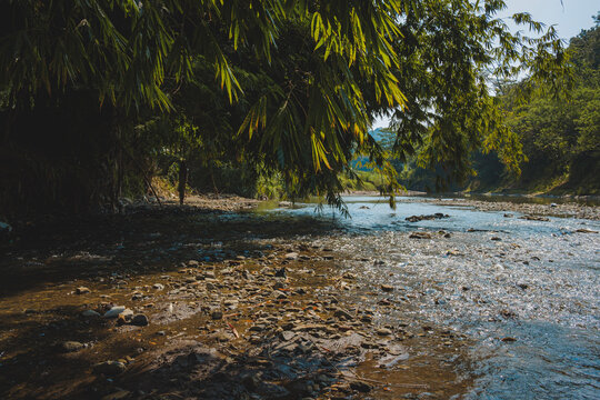 Kuningan west java,calm river accompanied by beautiful trees 