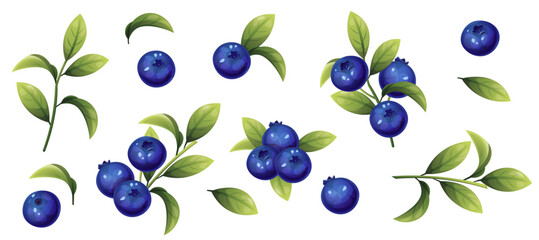set of blueberries on a white isolated background. Sprigs of forest blueberries. Berries and leaves for decor, stickers, prints, badges.