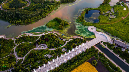 Scenery of Beihu National Wetland Park in Changchun, China
