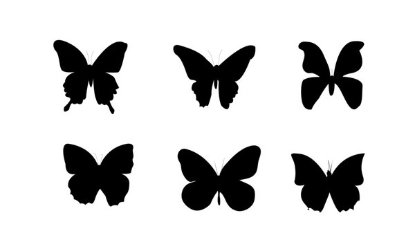 Butterfly silhouette. Hand drawn vector illustration. Isolated element on white background