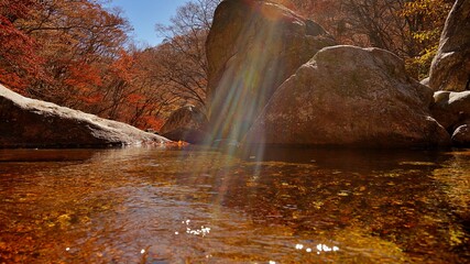 Fototapeta na wymiar Late autumn in Piagol, Jiri Mountain, Korea