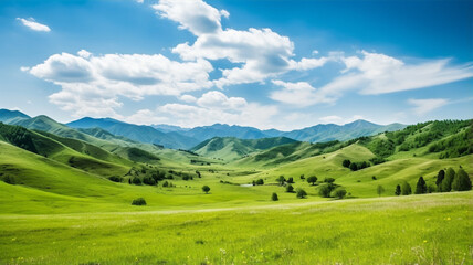 Fototapeta na wymiar Green field and blue sky, mountain hill, summer scenery background