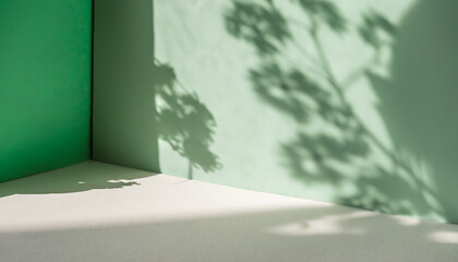 Minimal abstract green background for product presentation. Shadow and light from windows on plaster wall. The backdrop for product presentation, Product showcase background wall.