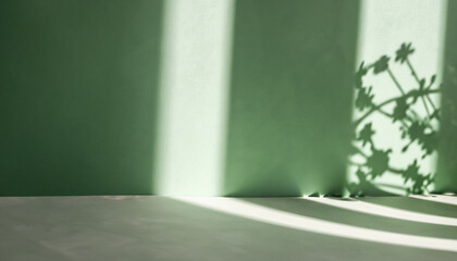 Minimal abstract green background for product presentation. Shadow and light from windows on plaster wall. The backdrop for product presentation, Product showcase background wall.