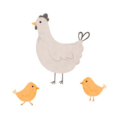 Set of Cartoon domestic chickens. Digital hand drawn farm birds illustration for textile design, poster, postcard. Cartoon style character drawing for printing on an isolated background