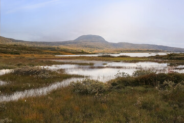 Autumn in the Forollhogna national park, Norway