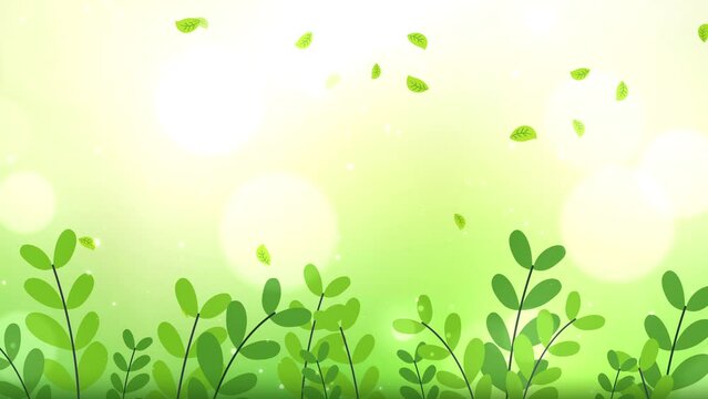 Spring green leaves flowing frame with copy space. abstract motion graphic decorative spring season sunlights template background.