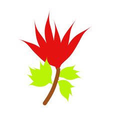 Beautiful red flower with light green leaf isolated on the white background. Decoration icon concept.