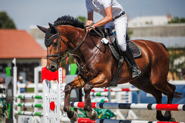 Horse jump over hurdles. Equestrian show jumping with unrecognizable male jockey. Sport event