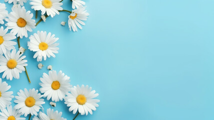 Flowers composition. Chamomile flowers on pastel blue background