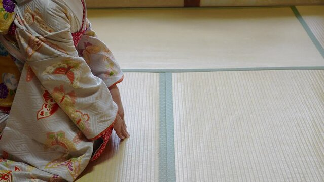 京都祇園の舞妓のイメージ