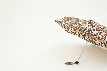 The main attribute in rainy weather - umbrella