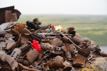  Rusty remains of a gun from the Second World War on the stones. Monument to the war with carnations