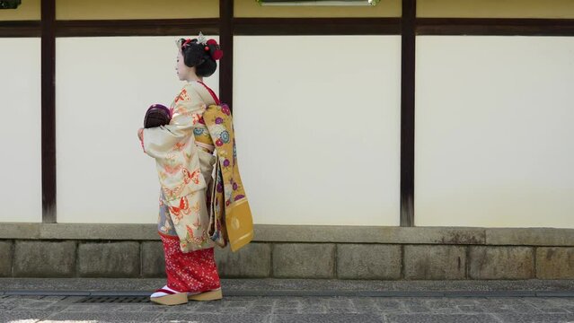 京都祇園の舞妓のイメージ
