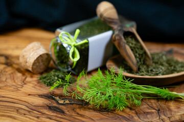 Dill Anethum graveolens aus dem eigenen Hausgarten