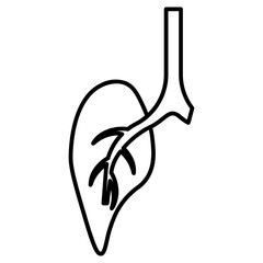  lungs, lung, health, care, medicine, disease, medical, respiratory, healthy, cancer, human, background, lungs, anatomy, body, illustration, pulmonary, organ, chest, isolated, vector