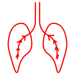 lungs, lung, health, care, disease, medicine, medical, cancer, respiratory, healthy, human, lungs, organ, anatomy, pulmonary, background, illustration, body, vector, isolated, pneumonia, chest