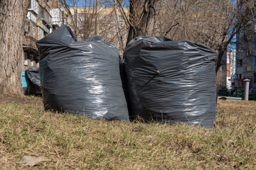 Two black bags with garbage, old fallen leaves, branches on the ground. Spring cleaning. City street cleaning