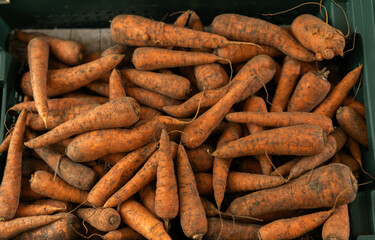 Sale of dirty carrots in plastic boxes, selective focus. Vegetables in a supermarket