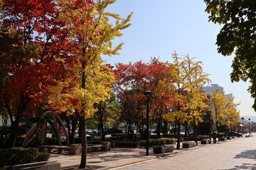 Naklejka premium autumn in the city