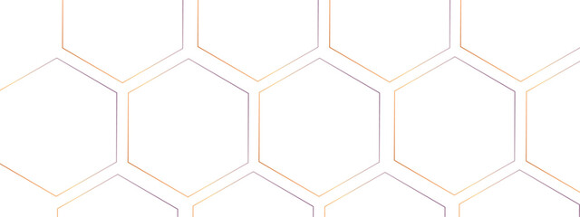 Luxury white and grey hexagonal abstract background. Geometric 3d texture illustration. Abstract hexagonal concept technology, banner and wallpaper background.	