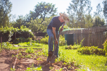 The farmer digs the soil in the vegetable garden. Preparing the soil for planting vegetables. Gardening concept. Agricultural work on the plantation
