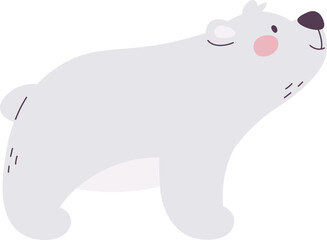 Polar Bear Animal