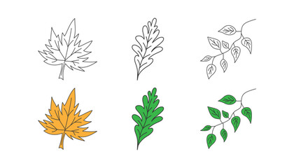 Leafs doodle icon set. Eco, herbarium symbol. Summer, fall, green, natural product. Flat design for web UI. Sketch style. Vector illustration.